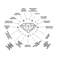 Meta Questions Meta-Questions to Ask: The 7 You Should Learn First... the Fifth One is ...
