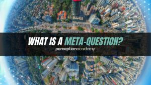 what is a meta question | definition & meaning